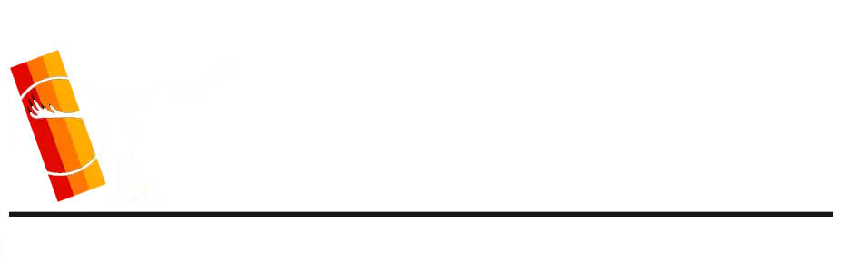 Lone Bird Studio Brand logo