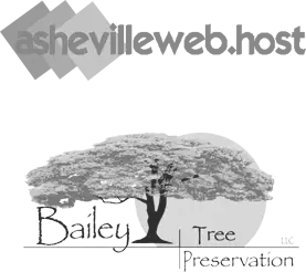 Logos Asheville web host- bailey tree