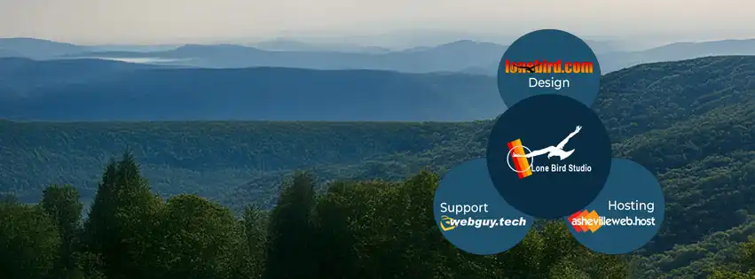 Lone Bird Studio ecosystem diagram showing WordPress design, support, and hosting services.