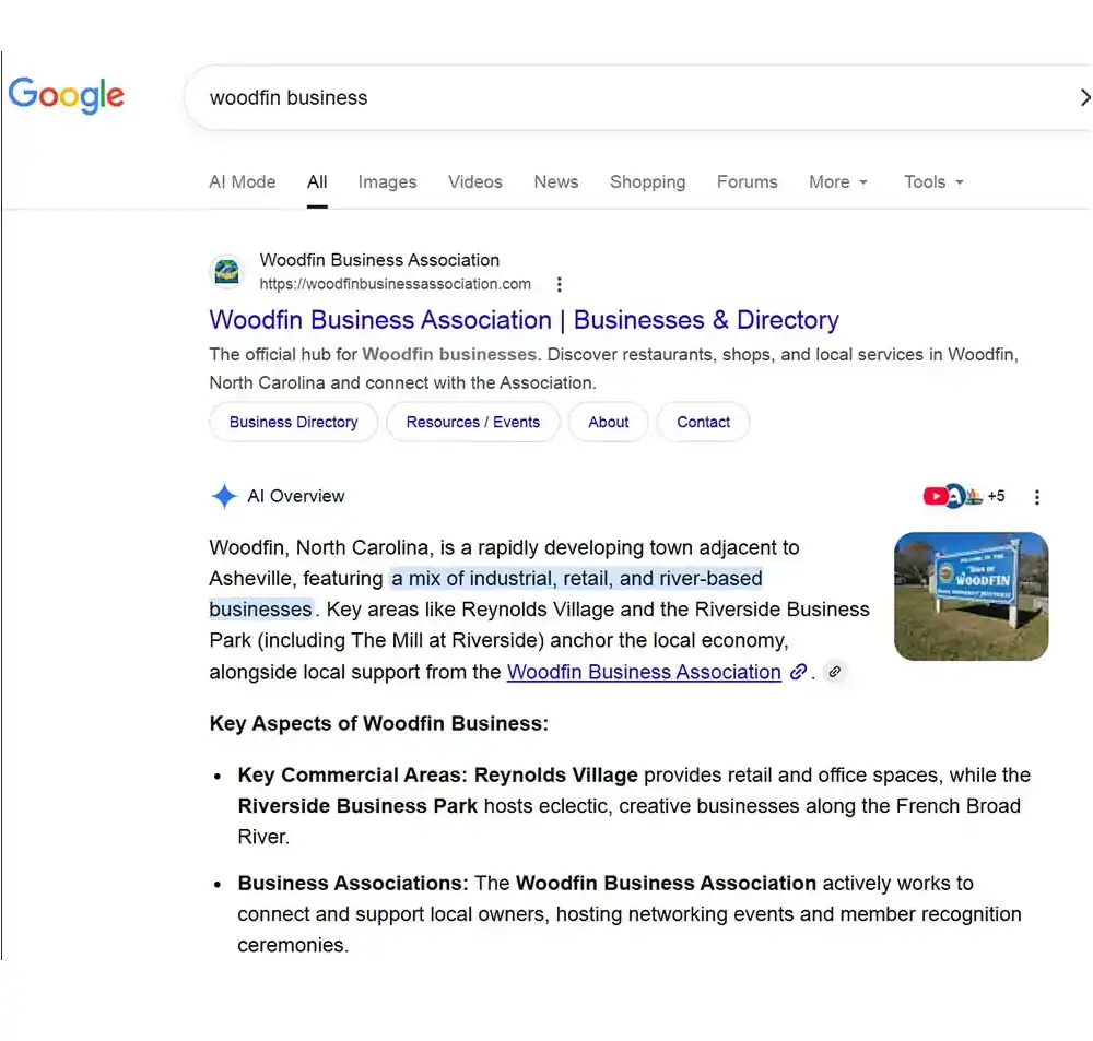 Google search results in Firefox featuring the Woodfin Business Association