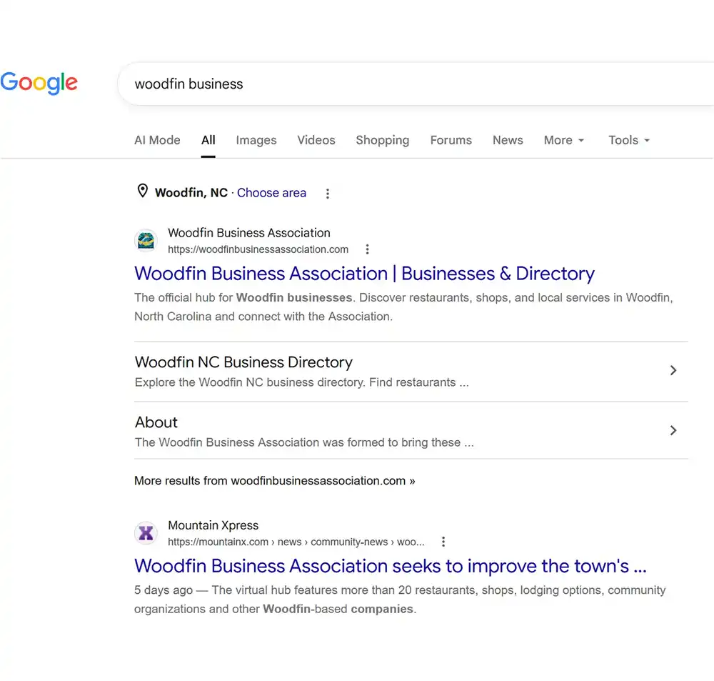 Google results showing the Woodfin Business Association above the Mountain Xpress article